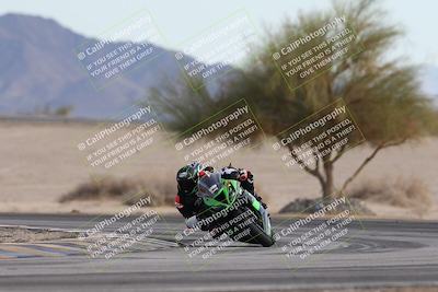 media/Nov-30-2025-TrackXperience (Sun) [[c0061d280f]]/2-Level 2/Session 6 Turn 4 Tree of Life/